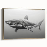 Framed canvas wall art featuring a striking shark design, highlighted by a gold frame. The artwork showcases vibrant marine life colors, perfect for ocean-themed decor.