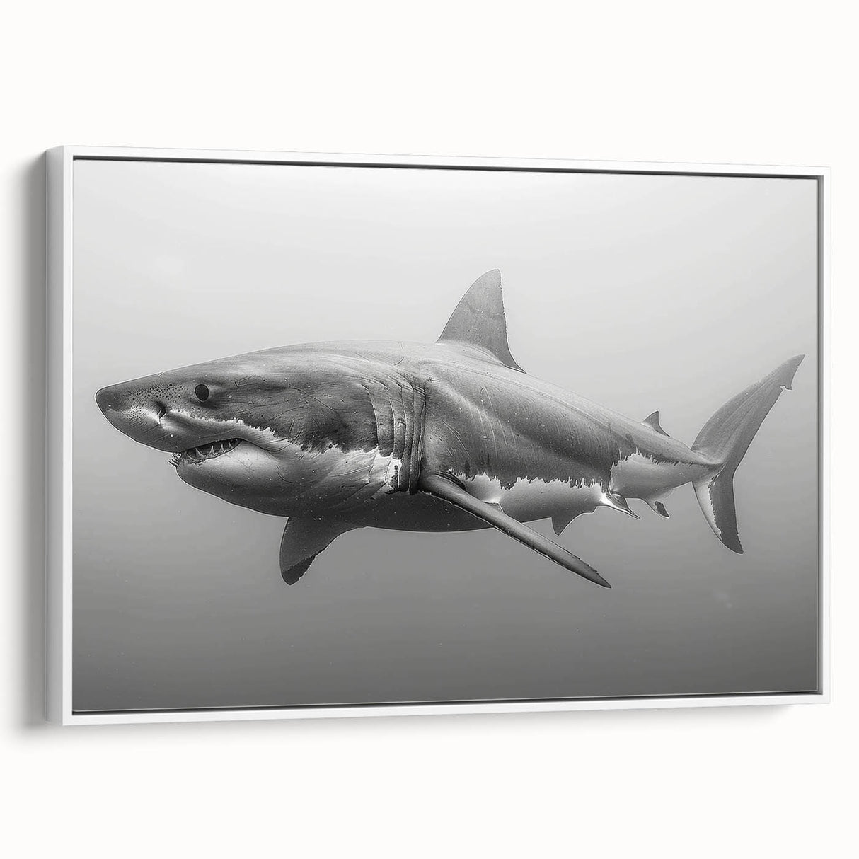 Framed canvas wall art showcasing a striking shark design in vibrant colors, perfect for marine life enthusiasts, displayed against a white background for a modern touch.