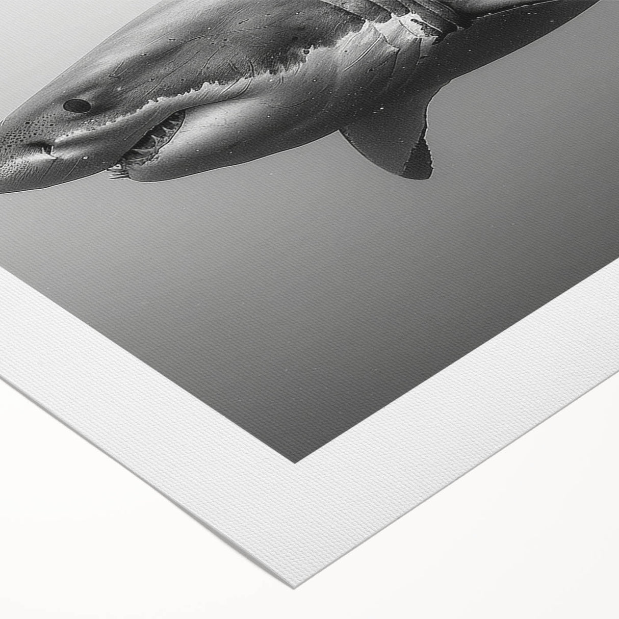 Vibrant rolled canvas wall art showcasing a striking shark design, perfect for marine life enthusiasts, featuring rich colors and intricate details. Ideal for ocean-themed decor.