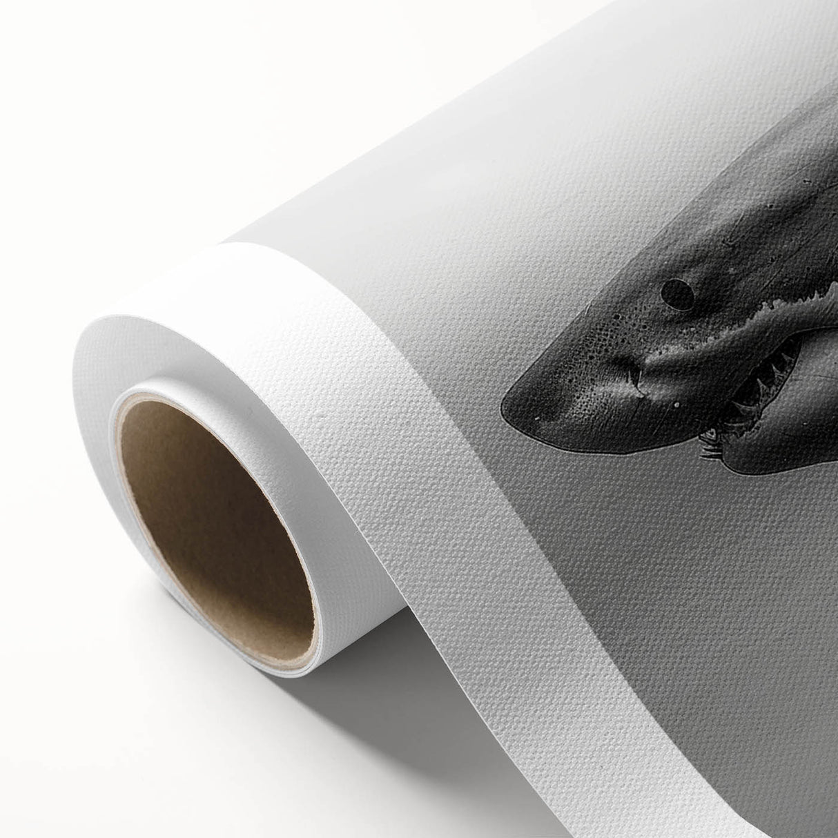 Vibrant rolled canvas wall art depicting a stylized shark design, showcasing detailed marine life elements, perfect for ocean-themed decor and art lovers.