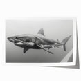 Vibrant rolled wall art print featuring a detailed shark design, showcasing marine life in vivid colors, perfect for ocean-themed decor.