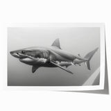 Vibrant rolled wall art print featuring a detailed shark design, showcasing marine life in vivid colors, perfect for ocean-themed decor.
