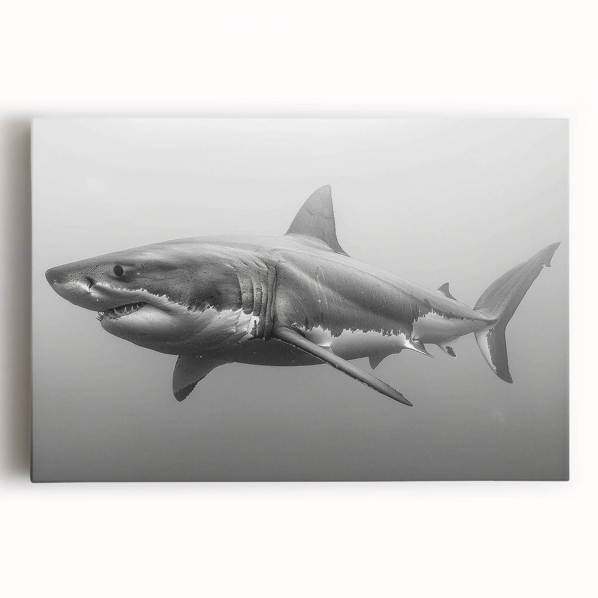 Vibrant stretched canvas wall art featuring a detailed marine life shark design, showcasing vivid colors and intricate patterns, perfect for ocean-themed decor.