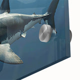 Close-up of a vibrant acrylic glass wall art piece featuring a detailed shark design, showcasing marine life colors and textures, perfect for ocean-themed decor.