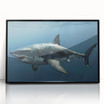 Framed acrylic wall art featuring a vibrant marine life shark design, set against a black background, perfect for ocean-themed decor and enhancing interior spaces.