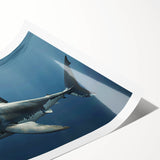 Vibrant rolled print of a marine life shark design, showcasing detailed illustrations of various shark species in shades of blue and gray, perfect for ocean-themed decor.