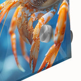 Close-up of a vibrant marine life shrimp wall art design, showcasing intricate details in acrylic glass, perfect for ocean-themed decor and marine enthusiasts.