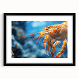 Black-framed wall art featuring a vibrant marine life shrimp design, showcasing intricate details and colors, perfect for ocean-themed decor in any space.