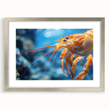 Framed wall art featuring a detailed marine life shrimp design, set in a silver frame with matting, perfect for ocean-themed decor. Ideal for enhancing interior spaces.