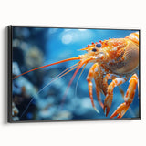 Framed wall art collection showcasing a vibrant marine life shrimp design on canvas, featuring a sleek black frame, ideal for ocean-themed decor.