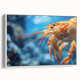 Framed canvas wall art showcasing a detailed marine life shrimp design in vibrant colors, displayed from a side view against a white background, perfect for ocean-themed decor.