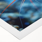 Vibrant rolled canvas wall art depicting a colorful marine life shrimp design, ideal for ocean-themed decor, showcasing intricate details and textures.