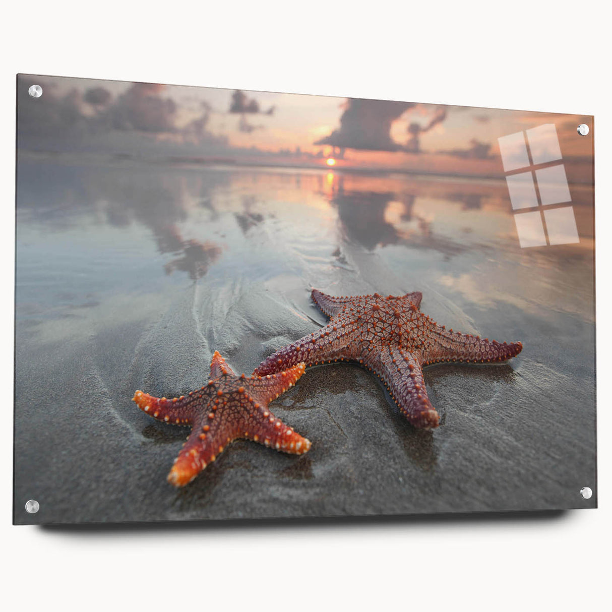 Vibrant starfish wall art design displayed in acrylic glass, showcasing a colorful marine life theme with a side view and pins for easy hanging. Perfect for ocean-inspired decor.