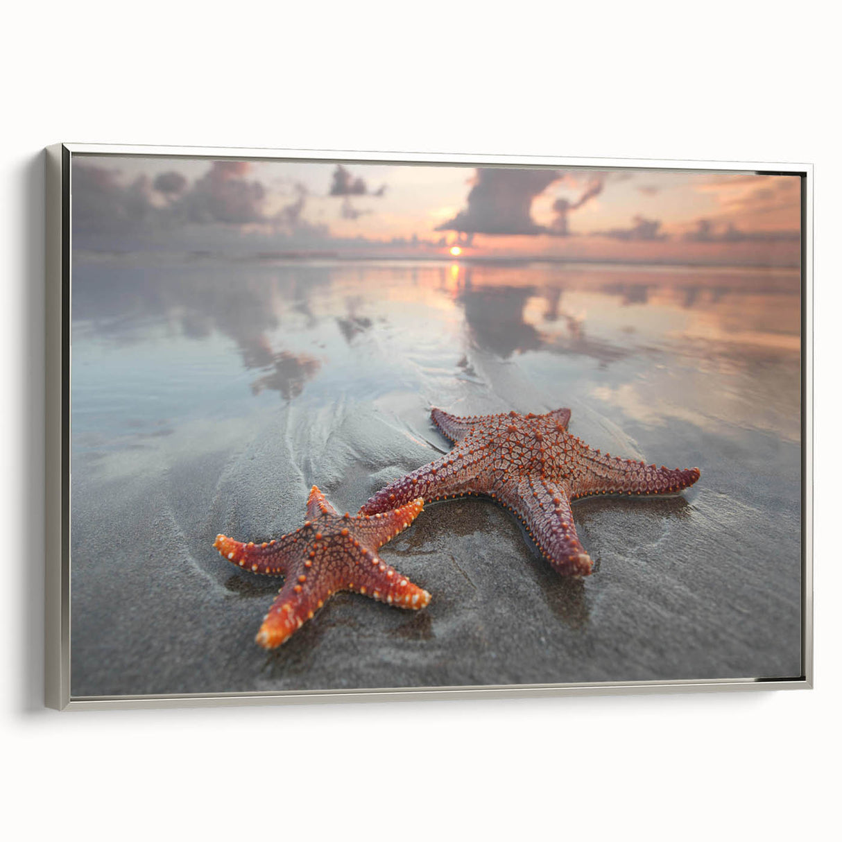 Framed canvas wall art showcasing a vibrant starfish design in marine colors, featuring a sleek silver frame, ideal for coastal-themed decor.