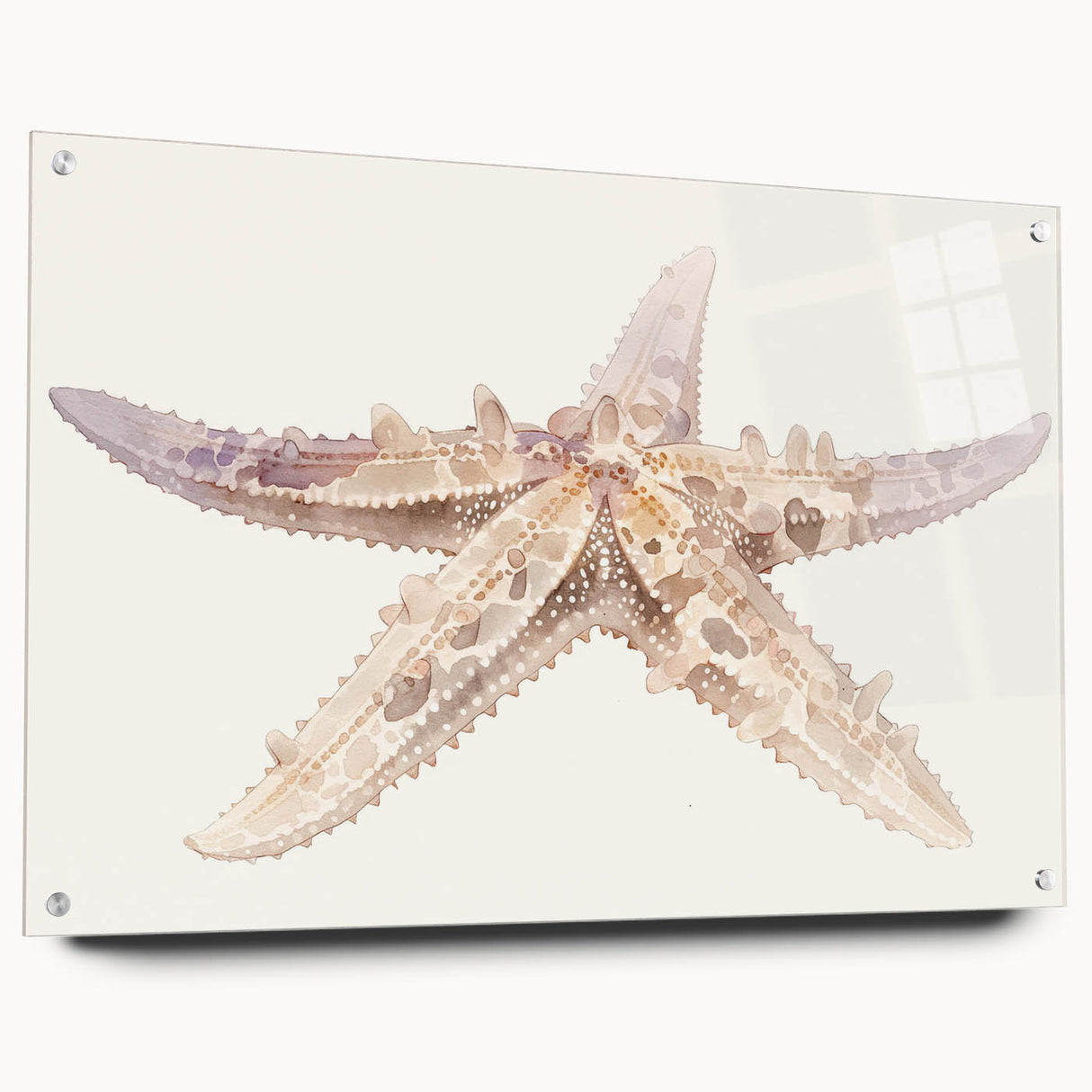 Acrylic glass wall art featuring a vibrant starfish design from the Marine Life collection, showcasing intricate details and colors, ideal for ocean-themed decor.