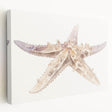 Colorful marine life starfish design on stretched canvas wall art, showcasing vibrant blues and oranges, perfect for coastal home decor.