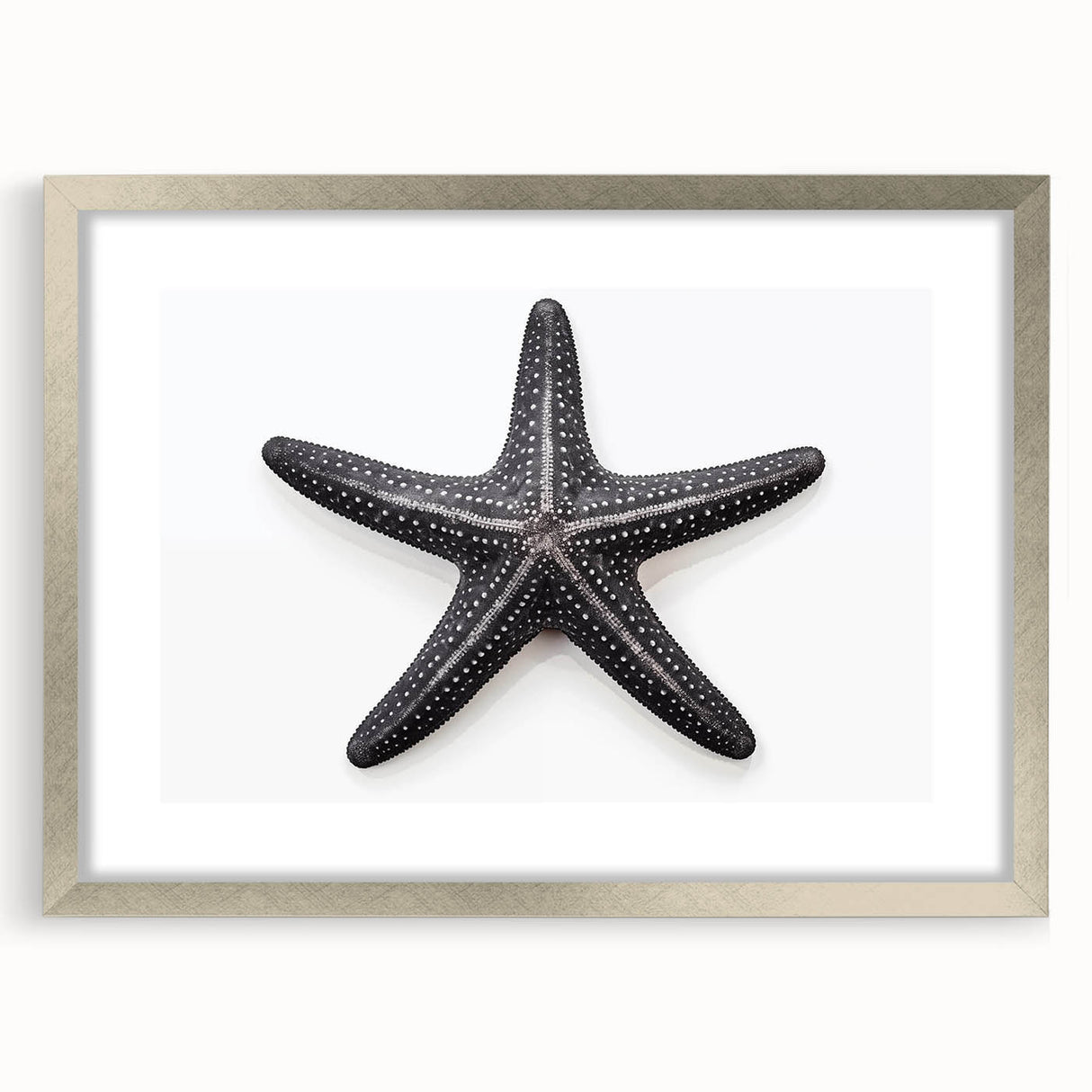 Framed marine life wall art featuring a starfish design, set in a sleek silver frame with a white mat, perfect for coastal home decor. Ideal for beach-themed interiors.