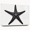 Acrylic wall art featuring a vibrant marine life starfish design, displayed in a stylish side view with visible mounting pins, perfect for coastal decor enthusiasts.