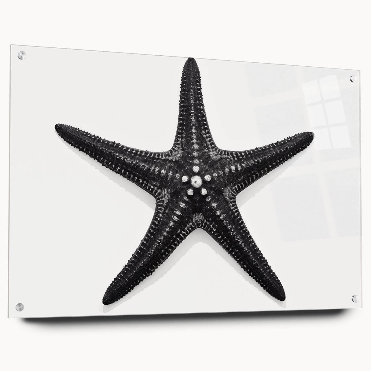 Acrylic wall art featuring a vibrant marine life starfish design, displayed in a stylish side view with visible mounting pins, perfect for coastal decor enthusiasts.