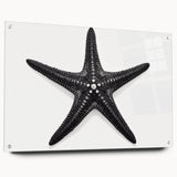 Acrylic wall art featuring a vibrant marine life starfish design, displayed in a stylish side view with visible mounting pins, perfect for coastal decor enthusiasts.