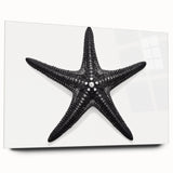 Vibrant starfish wall art design printed on acrylic glass, showcasing marine life in vivid colors with a sleek side view, perfect for ocean-themed decor.