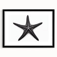 Black-framed wall art featuring a vibrant starfish design, perfect for marine life enthusiasts. The colorful print complements coastal decor, adding a lively touch to any room.
