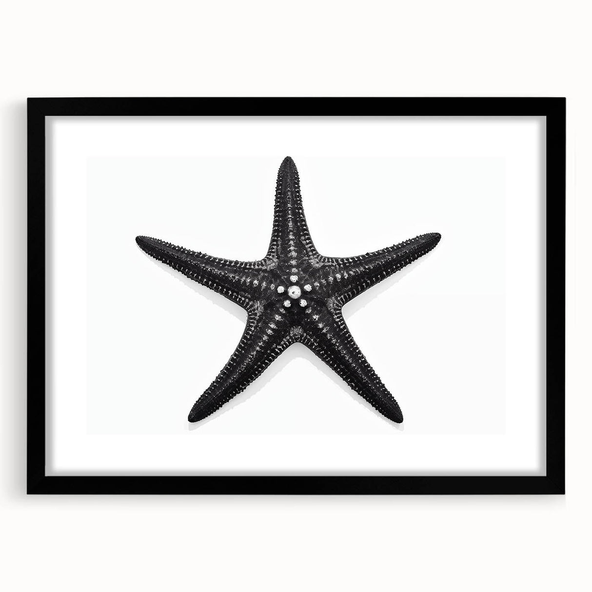 Black-framed wall art featuring a vibrant starfish design, perfect for marine life enthusiasts. The colorful print complements coastal decor, adding a lively touch to any room.