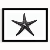 Black-framed wall art featuring a vibrant starfish design, perfect for marine life enthusiasts. The colorful print complements coastal decor, adding a lively touch to any room.