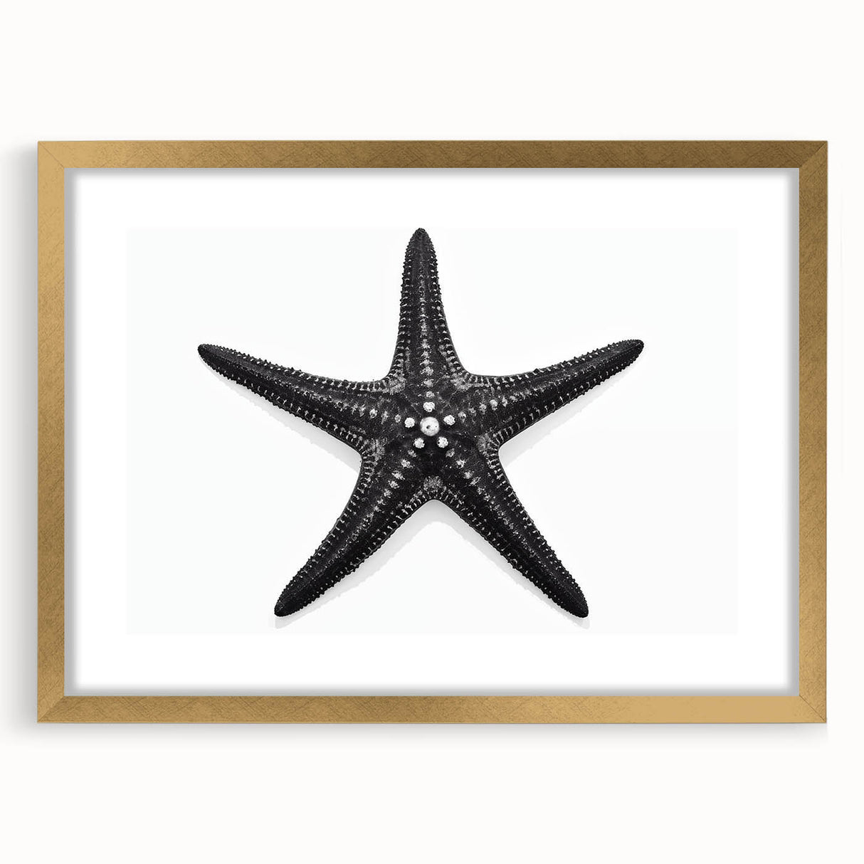 Gold-framed wall art featuring a vibrant marine life starfish design, complete with a mat, ideal for coastal-themed decor and ocean-inspired interiors.