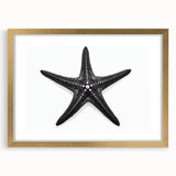 Gold-framed wall art featuring a vibrant marine life starfish design, complete with a mat, ideal for coastal-themed decor and ocean-inspired interiors.