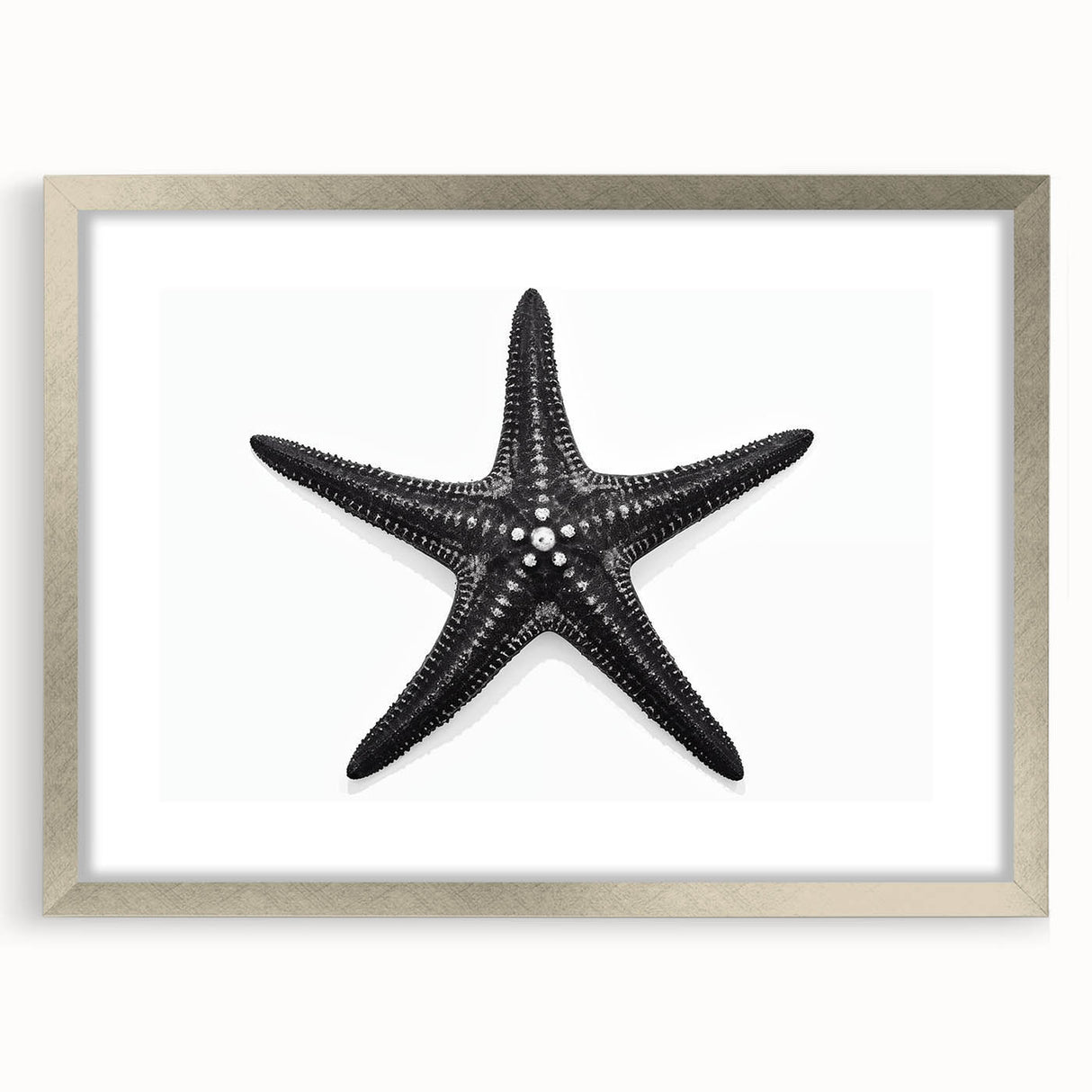 Framed silver wall art showcasing a marine life starfish design, featuring a sleek mat and modern aesthetic, perfect for coastal-themed decor.
