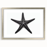Framed silver wall art showcasing a marine life starfish design, featuring a sleek mat and modern aesthetic, perfect for coastal-themed decor.
