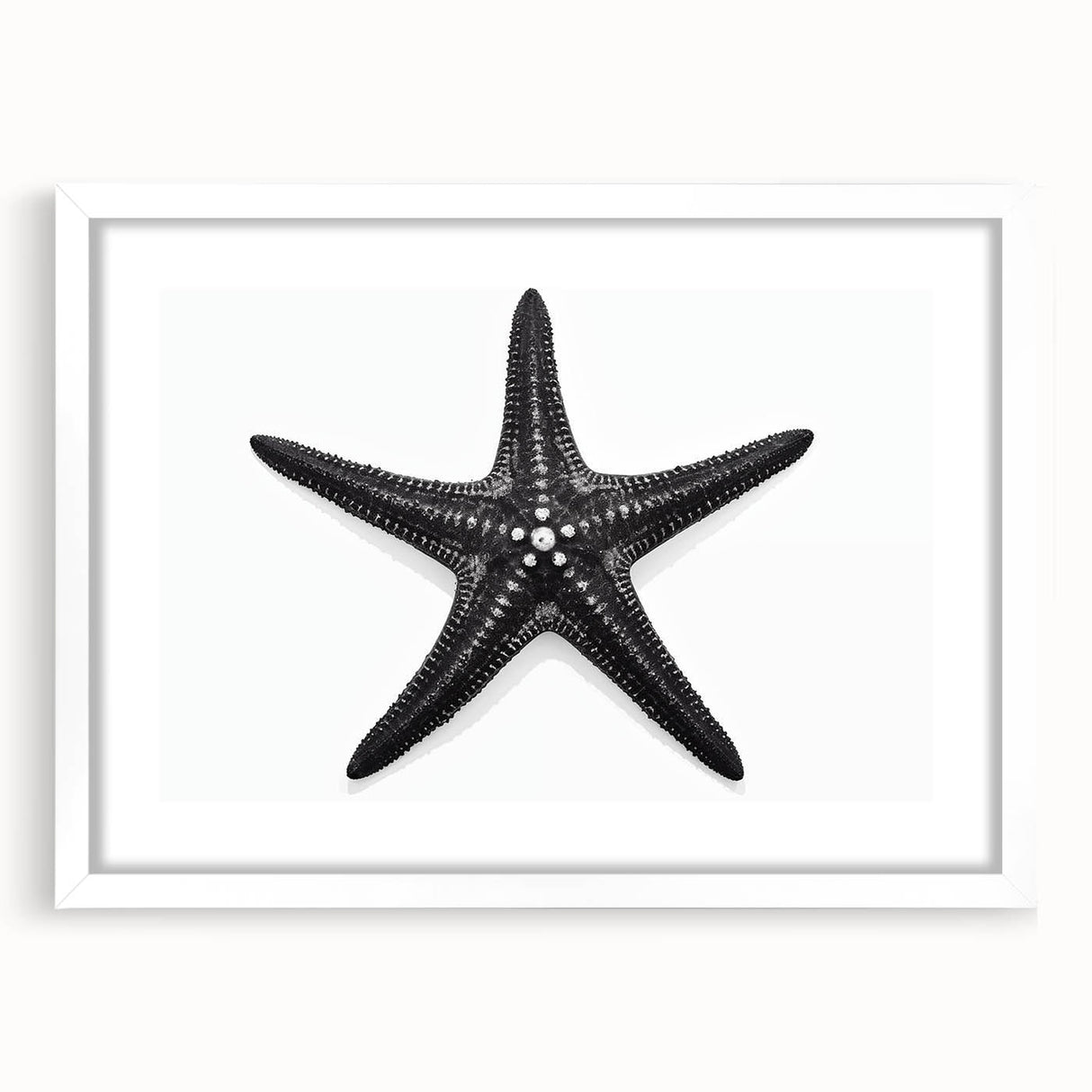 Elegant marine life wall art collection featuring a starfish design framed with a white mat, perfect for coastal home decor, enhancing beach-themed interiors.