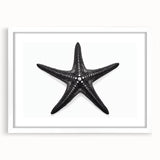 Elegant marine life wall art collection featuring a starfish design framed with a white mat, perfect for coastal home decor, enhancing beach-themed interiors.