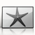 Framed acrylic wall art featuring a vibrant marine life starfish design with a black frame, perfect for coastal decor and ocean-themed interiors.