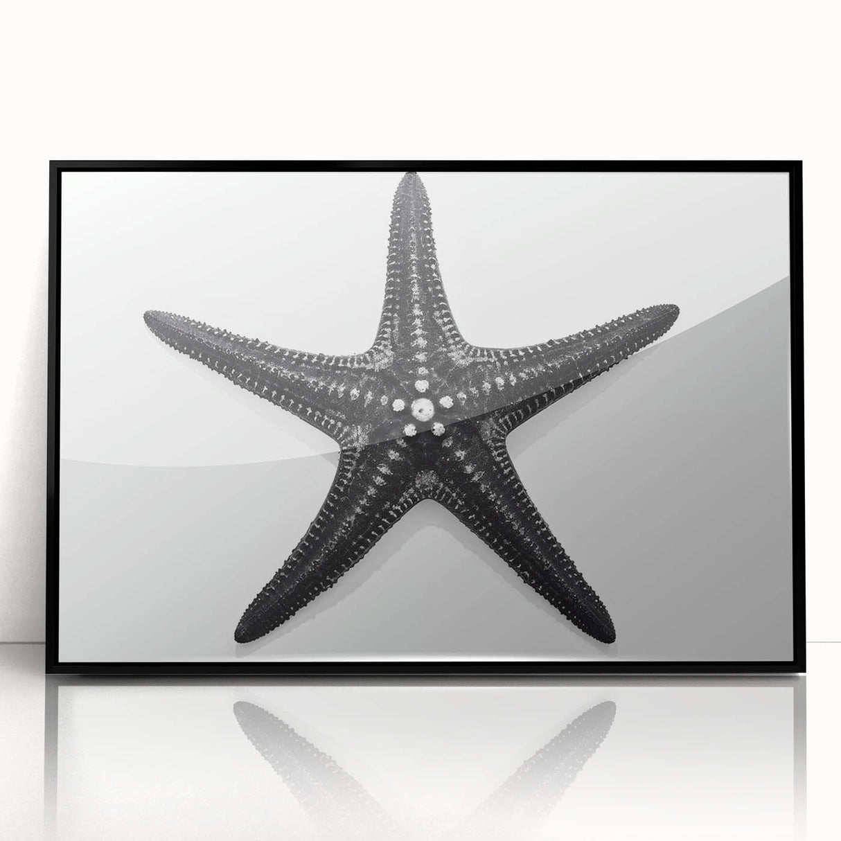 Framed acrylic wall art featuring a vibrant marine life starfish design with a black frame, perfect for coastal decor and ocean-themed interiors.