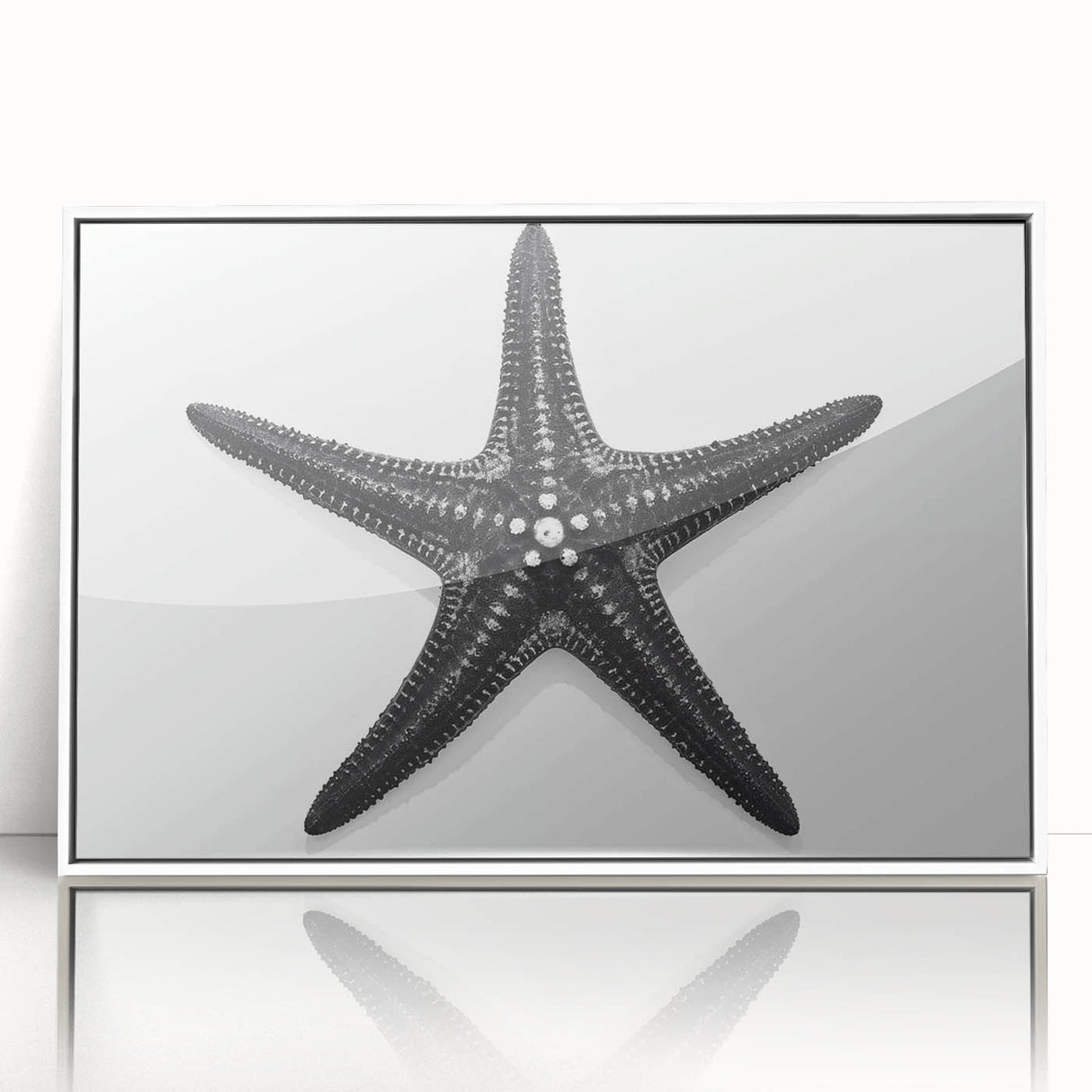 Framed wall art collection featuring a vibrant marine life design with a starfish in a white frame, perfect for coastal home decor. The acrylic finish enhances colors and details, adding an elegant touch to any room.