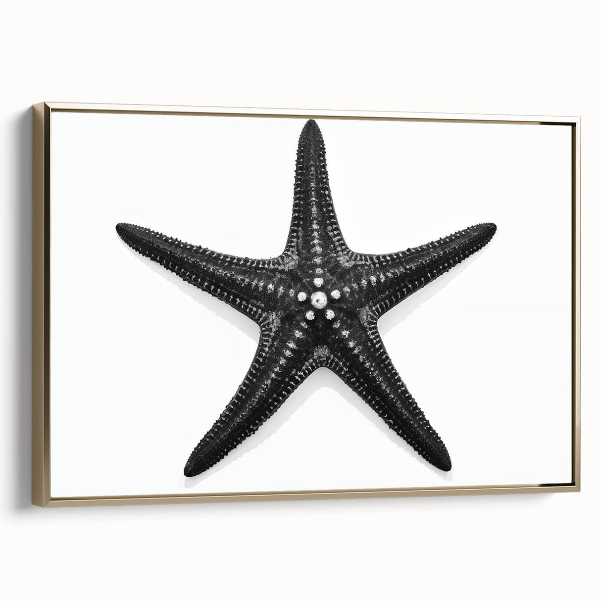 Framed canvas wall art featuring a vibrant marine life starfish design in gold tones, showcasing intricate details and textures, perfect for coastal-themed decor.