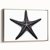 Framed canvas wall art featuring a vibrant marine life starfish design in gold tones, showcasing intricate details and textures, perfect for coastal-themed decor.