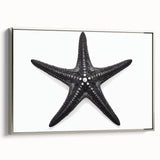 Framed canvas wall art showcasing a vibrant marine life starfish design with a sleek silver frame, perfect for ocean-themed decor in living spaces.