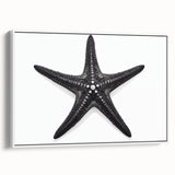 Framed canvas wall art featuring a vibrant marine life starfish design in a stylish white frame, ideal for coastal-themed home decor, showcasing intricate colors and details.