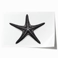 Vibrant marine life wall art featuring a detailed starfish design, showcased as a rolled print suitable for coastal-themed decor and ocean enthusiasts.