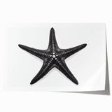 Vibrant marine life wall art featuring a detailed starfish design, showcased as a rolled print suitable for coastal-themed decor and ocean enthusiasts.