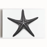 Vibrant stretched canvas wall art featuring a starfish design, showcasing intricate marine life details in bright colors, ideal for coastal-themed decor.