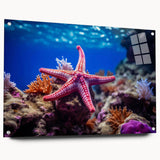 Acrylic glass wall art featuring a vibrant marine life starfish design, showcasing colorful details and pins for easy display, perfect for ocean-themed decor.