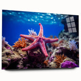 Acrylic glass wall art featuring a vibrant marine life design with a starfish motif, showcasing intricate colors and textures for ocean-themed decor. Ideal for enhancing coastal aesthetics in any room.