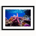 Black-framed wall art featuring a vibrant starfish design, part of a marine life collection, showcasing intricate details and colors perfect for ocean-themed decor.