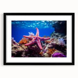 Black-framed wall art featuring a vibrant starfish design, part of a marine life collection, showcasing intricate details and colors perfect for ocean-themed decor.