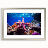Marine life starfish wall art collection framed in silver with a white mat, showcasing intricate starfish designs, perfect for coastal home decor.