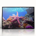 Framed acrylic wall art showcasing a vibrant starfish design in black frame, perfect for marine life enthusiasts and coastal decor lovers. Ideal for enhancing home or office spaces with ocean-inspired aesthetics.